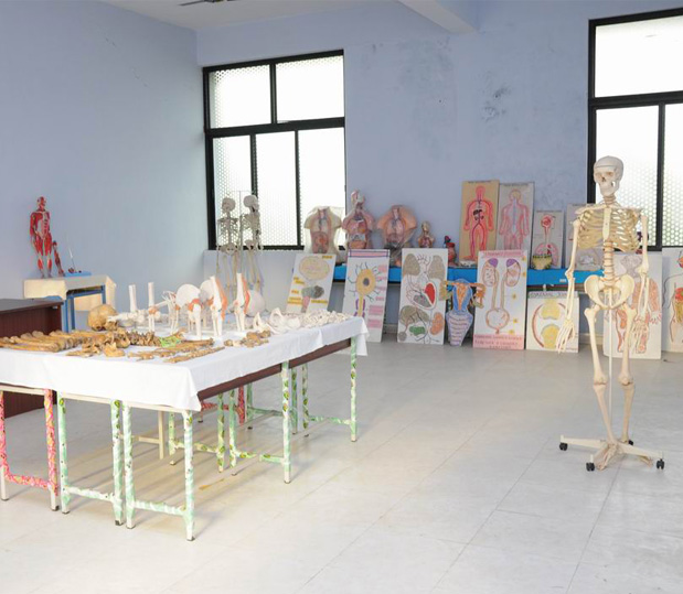Anatomy & Physiology Laboratory