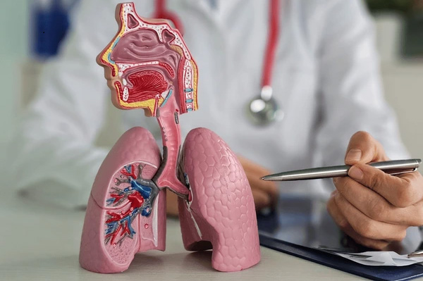 Anatomy Practical Training